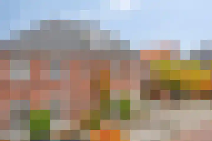 Fonteinkruid 33 Berlicum thumbnail 47
