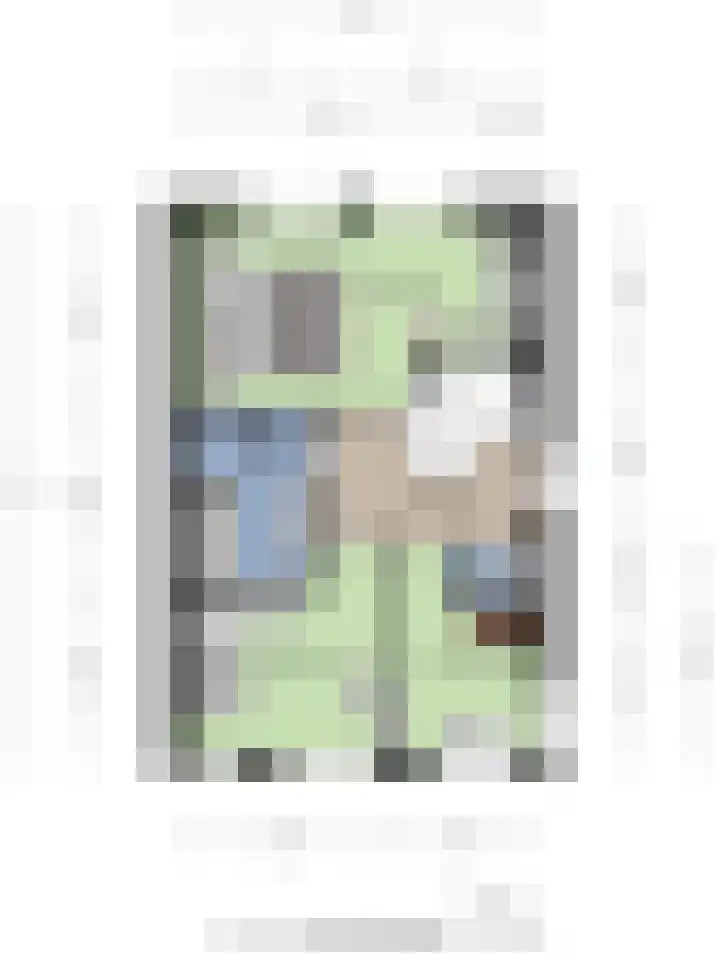Fonteinkruid 33 Berlicum thumbnail 51