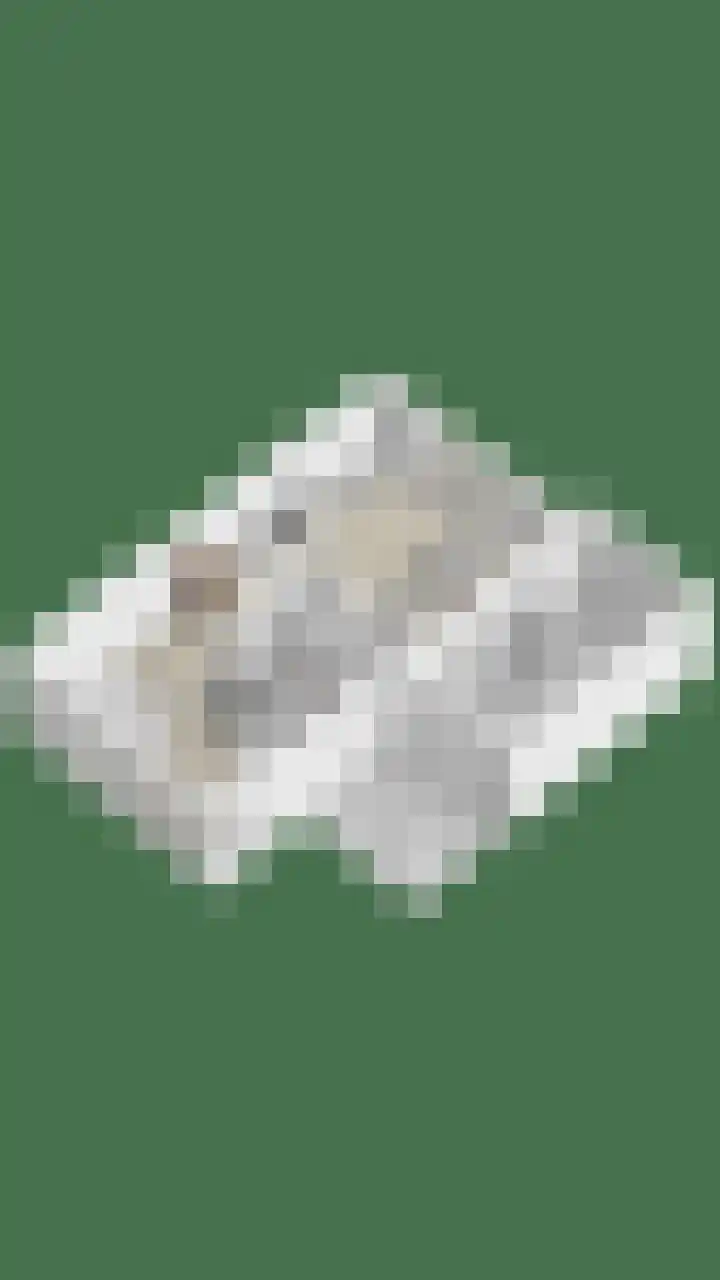 Fonteinkruid 33 Berlicum thumbnail 55