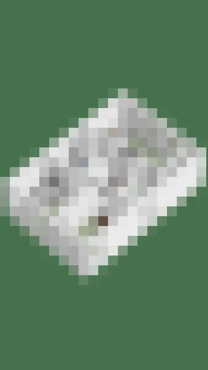Fonteinkruid 33 Berlicum thumbnail 56