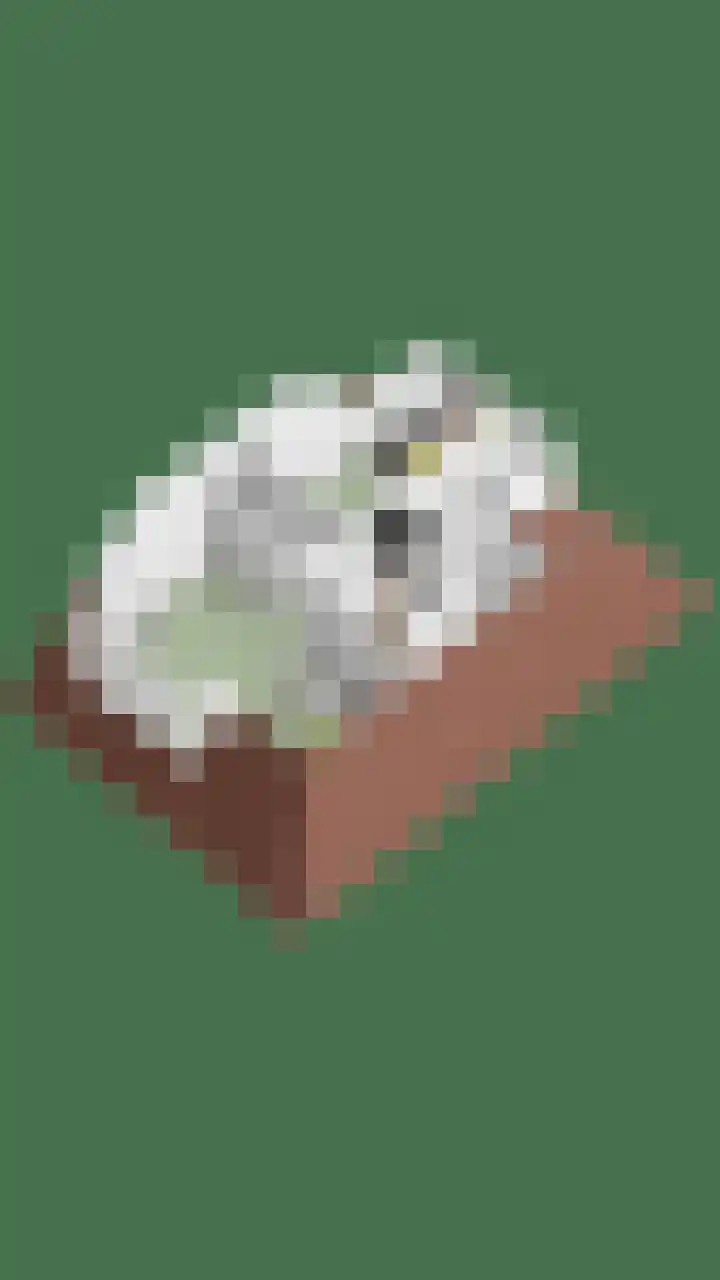 Fonteinkruid 33 Berlicum thumbnail 57