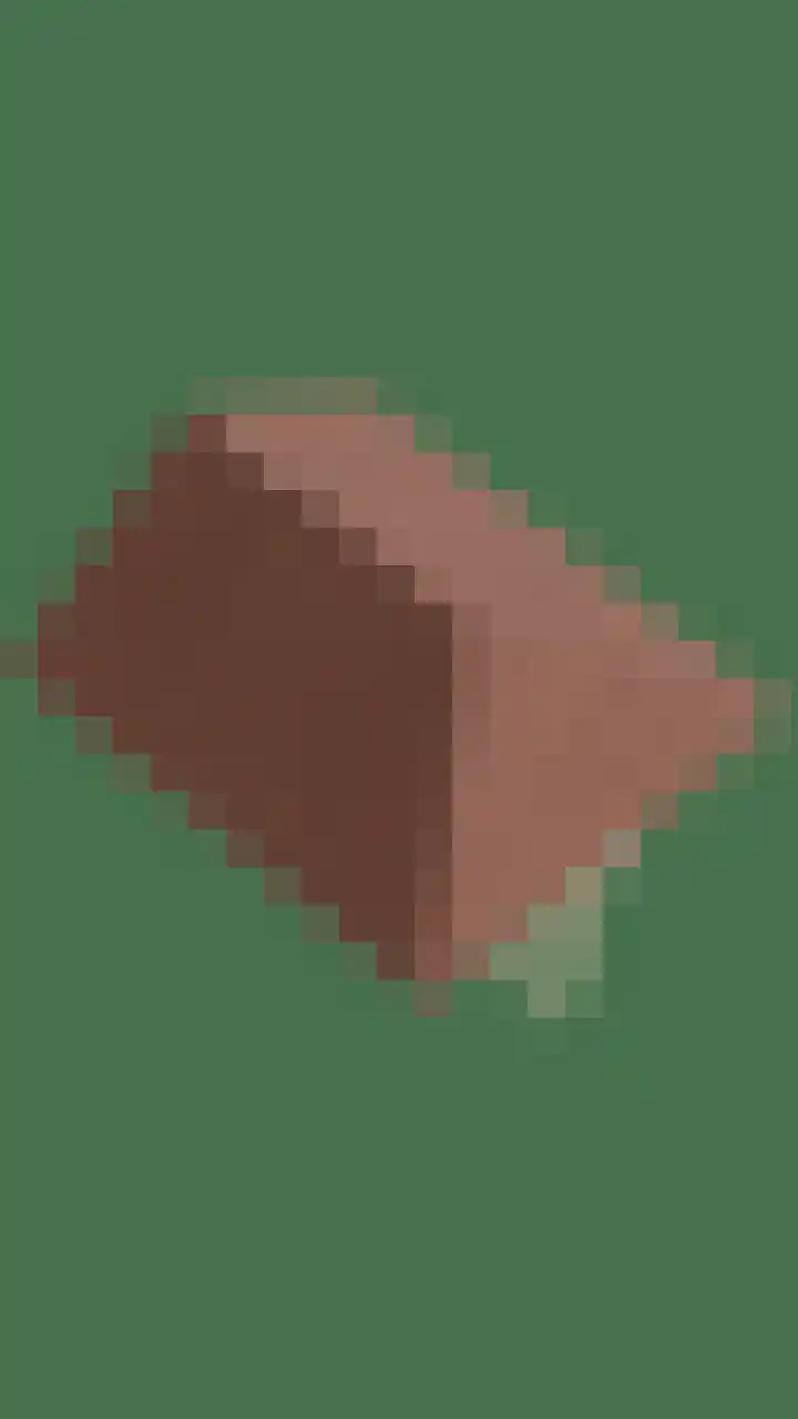 Fonteinkruid 33 Berlicum thumbnail 58