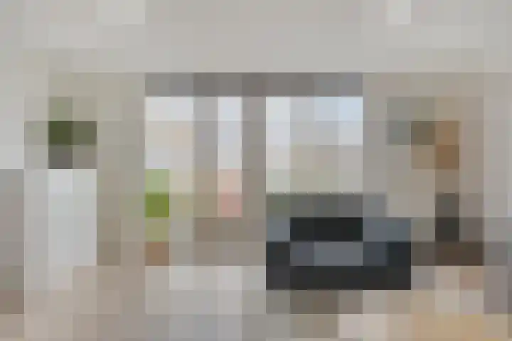 Fonteinkruid 33 Berlicum thumbnail 6