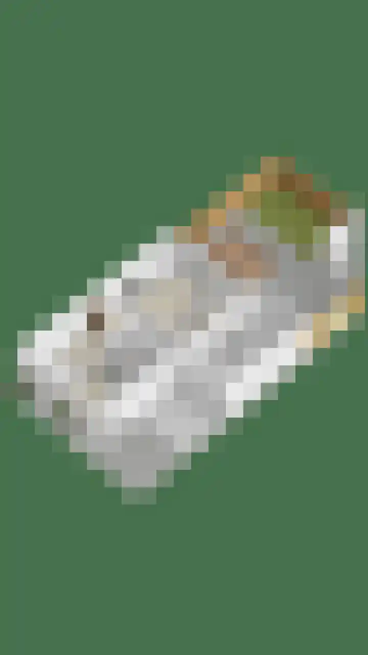 Fonteinkruid 33 Berlicum thumbnail 60