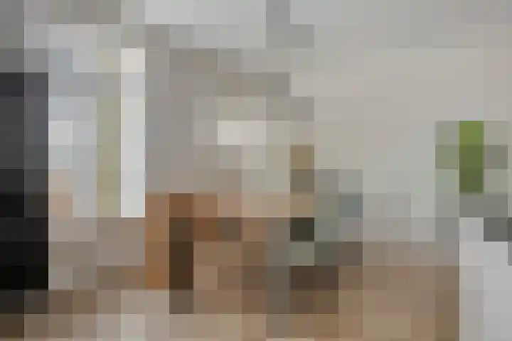 Fonteinkruid 33 Berlicum thumbnail 8