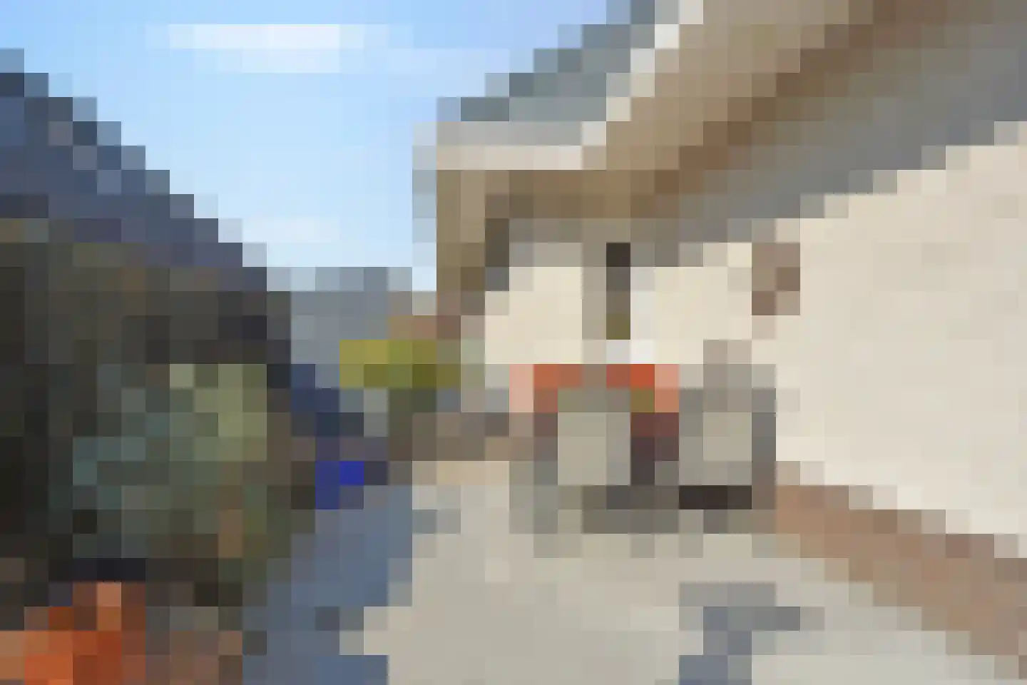 Fonteinkruid 33 Nootdorp thumbnail 45