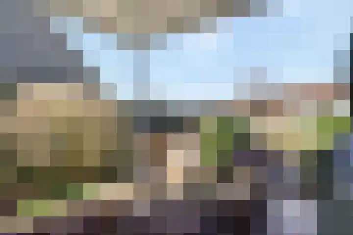 Fonteinkruid 33 Nootdorp thumbnail 46