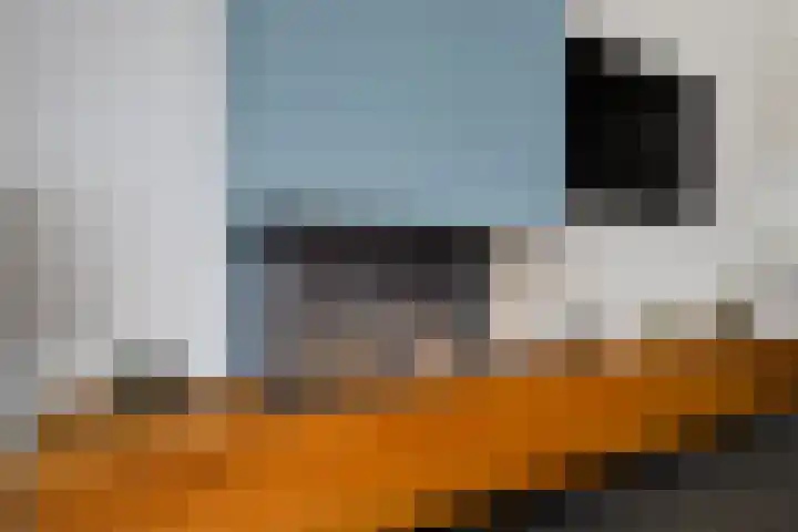 Fonteinkruid 33 Nootdorp thumbnail 48