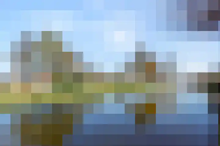 Fonteinkruid 33 Nootdorp thumbnail 51