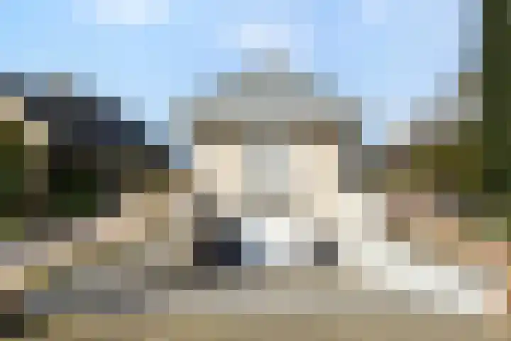 Fonteinkruid 33 Nootdorp thumbnail 55