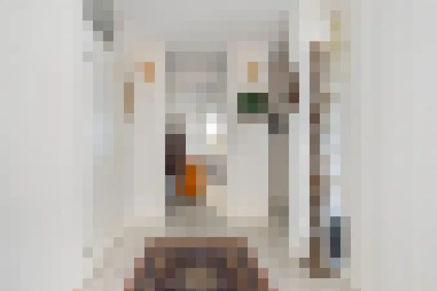 Fonteinkruid 33 Nootdorp thumbnail 6