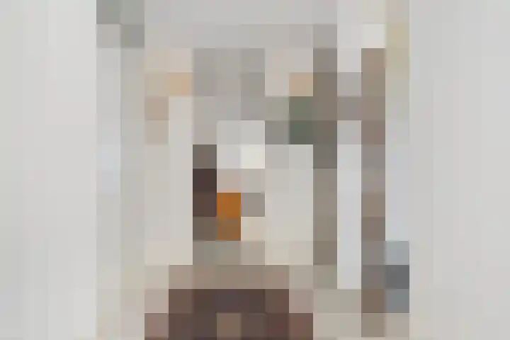 Fonteinkruid 33 Nootdorp thumbnail 6