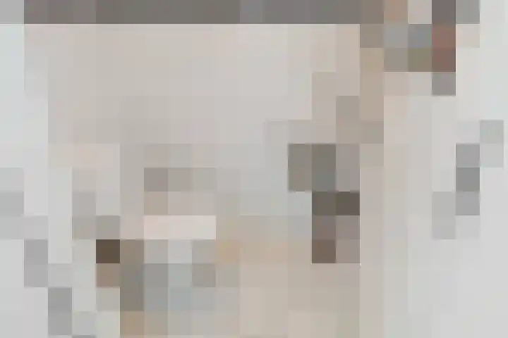 Fonteinkruid 33 Nootdorp thumbnail 8