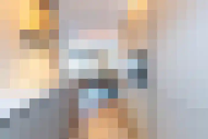 Fonteinkruid 36 Roelofarendsveen thumbnail 13