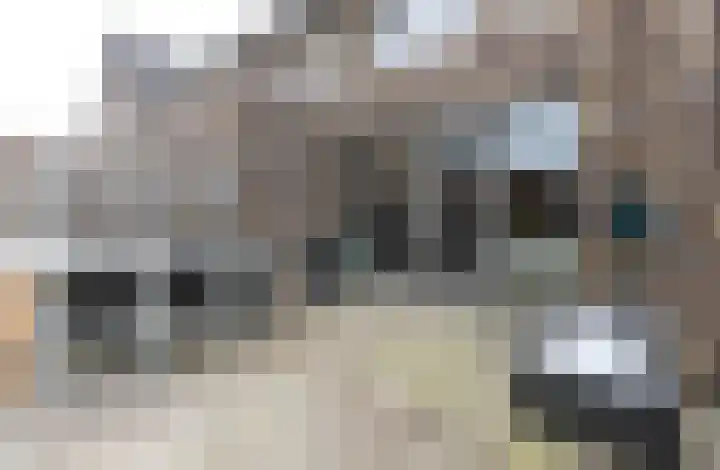 Fonteinkruid 36 Roelofarendsveen thumbnail 18