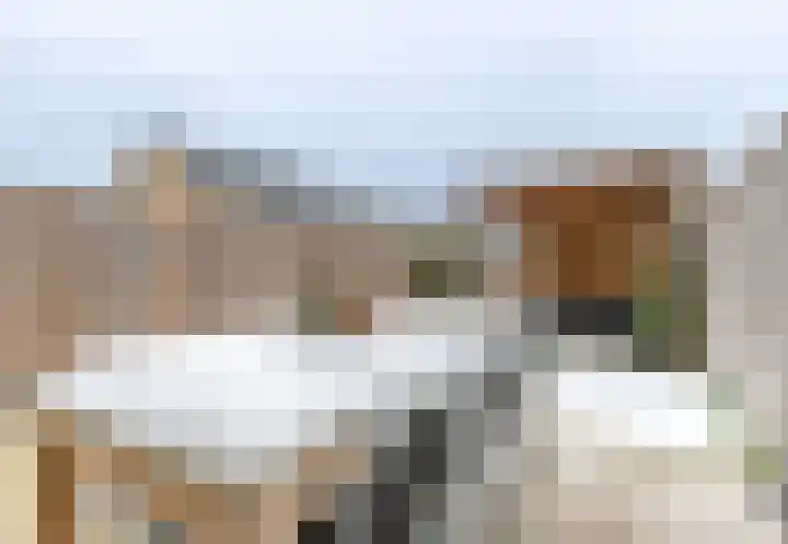 Fonteinkruid 36 Roelofarendsveen thumbnail 21