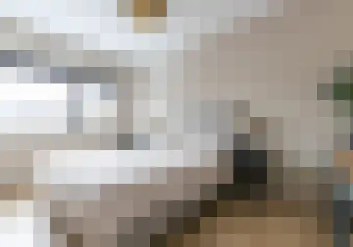 Fonteinkruid 36 Roelofarendsveen thumbnail 26