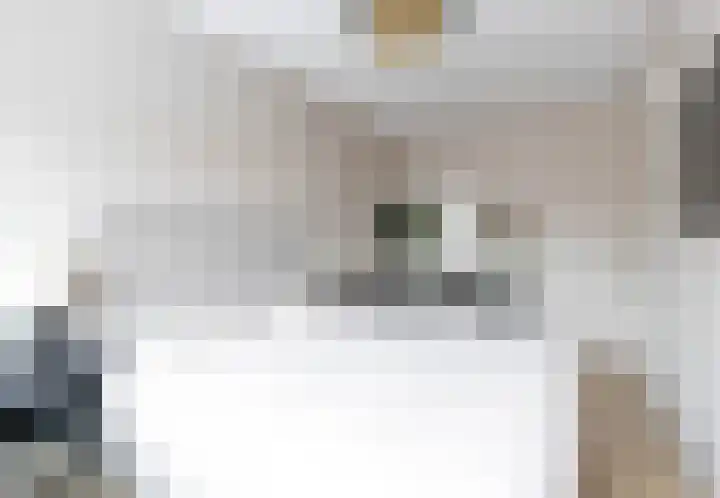 Fonteinkruid 36 Roelofarendsveen thumbnail 27
