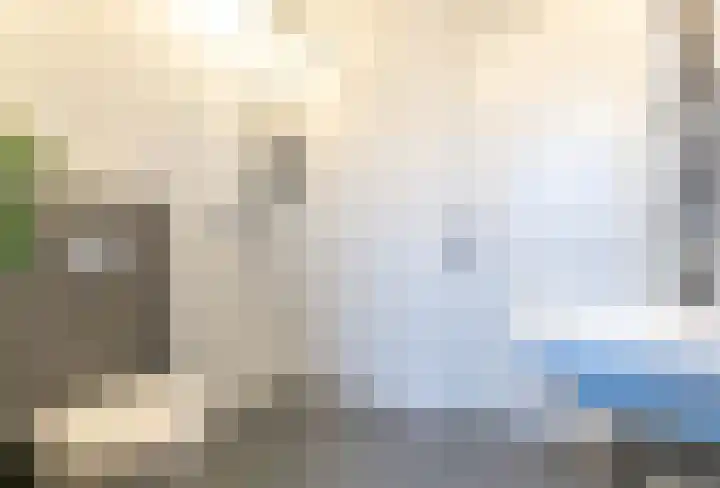 Fonteinkruid 36 Roelofarendsveen thumbnail 28