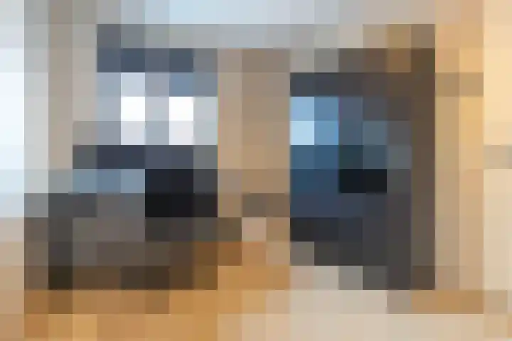 Fonteinkruid 36 Roelofarendsveen thumbnail 30