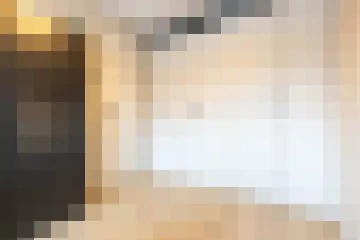 Fonteinkruid 36 Roelofarendsveen thumbnail 31