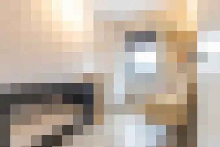 Fonteinkruid 36 Roelofarendsveen thumbnail 32