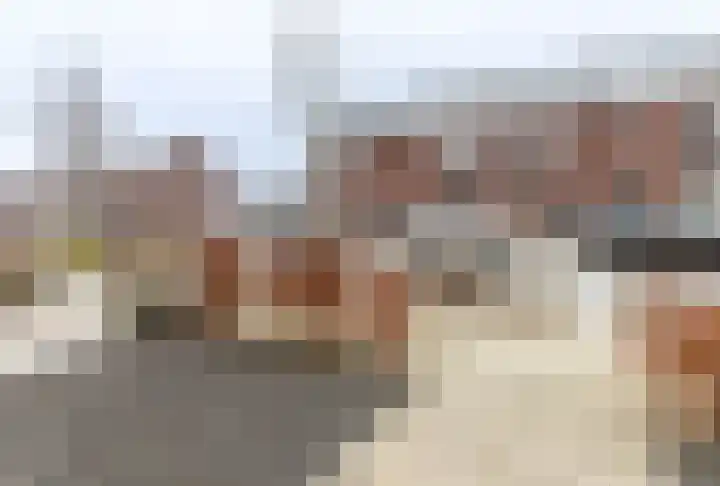 Fonteinkruid 36 Roelofarendsveen thumbnail 37