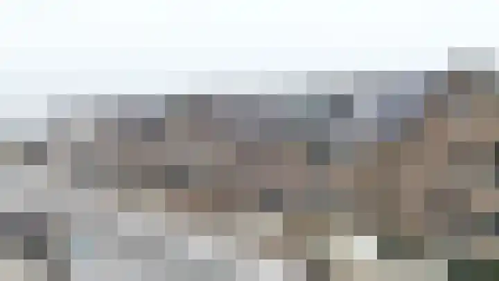 Fonteinkruid 36 Roelofarendsveen thumbnail 39