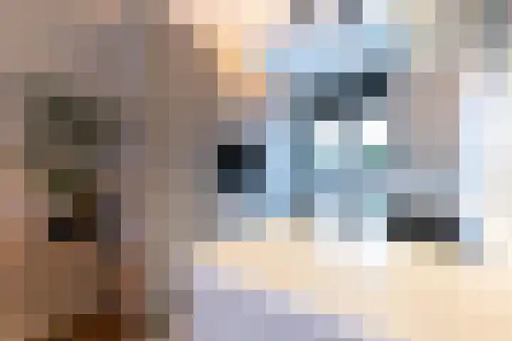 Fonteinkruid 36 Roelofarendsveen thumbnail 4