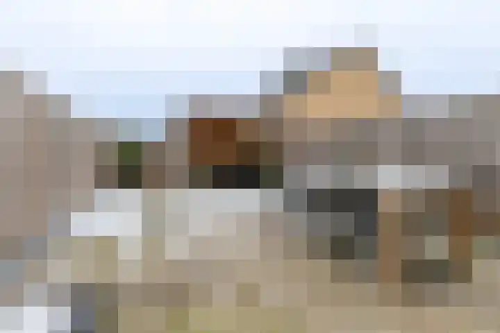 Fonteinkruid 36 Roelofarendsveen thumbnail 5