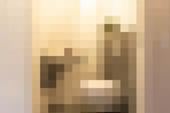 Fonteinkruid 36 Roelofarendsveen thumbnail 8