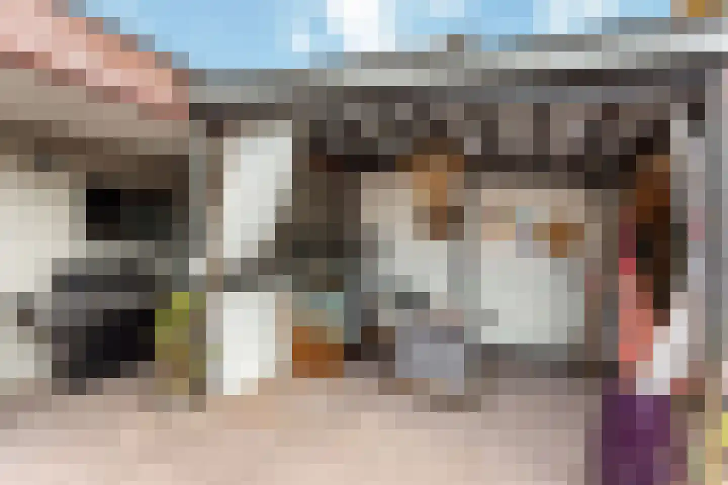 Fonteinkruid 37 Nijverdal thumbnail 15