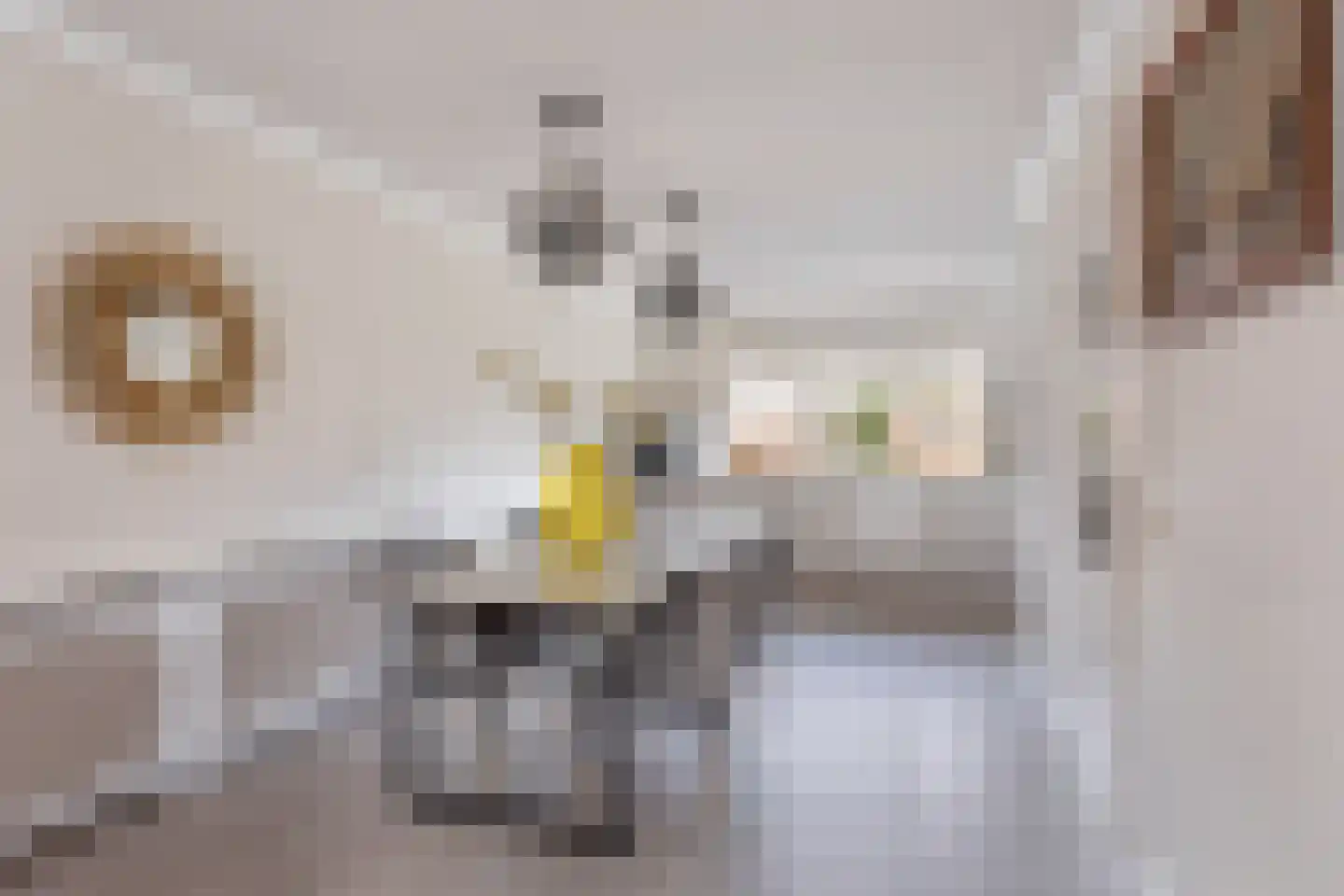 Fonteinkruid 37 Nijverdal thumbnail 5