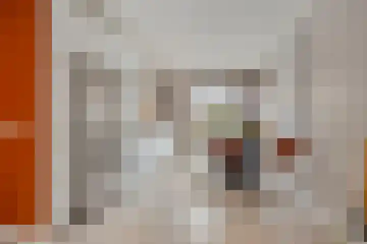 Fonteinkruid 38 Meppel thumbnail 11