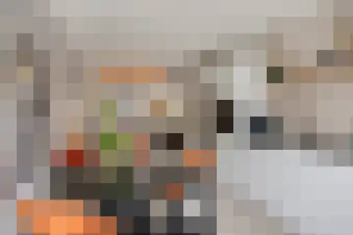 Fonteinkruid 38 Meppel thumbnail 14