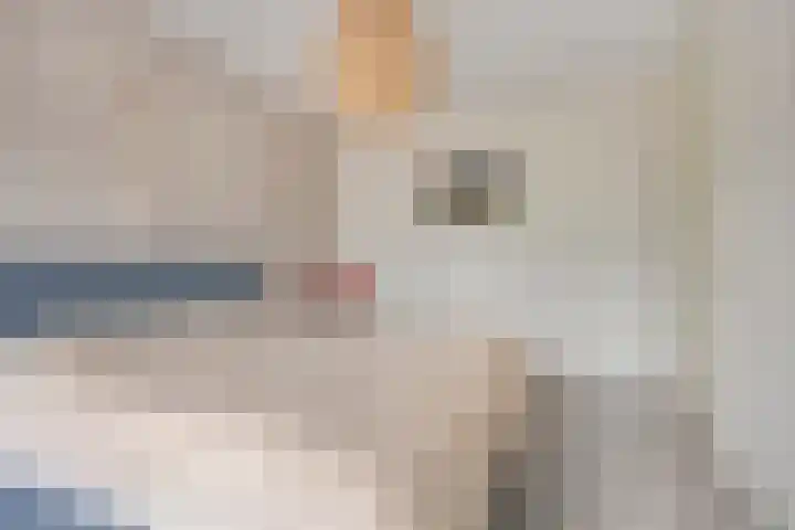 Fonteinkruid 38 Meppel thumbnail 20