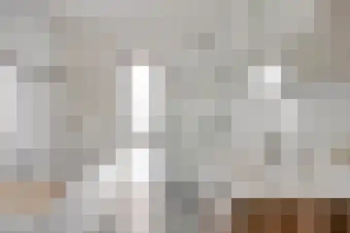 Fonteinkruid 38 Meppel thumbnail 22