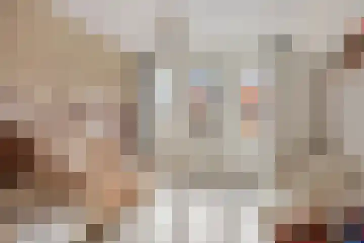 Fonteinkruid 38 Meppel thumbnail 23