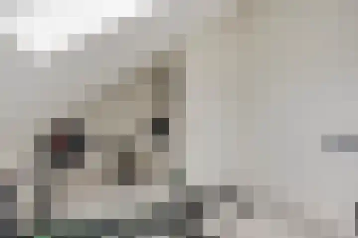 Fonteinkruid 38 Meppel thumbnail 30
