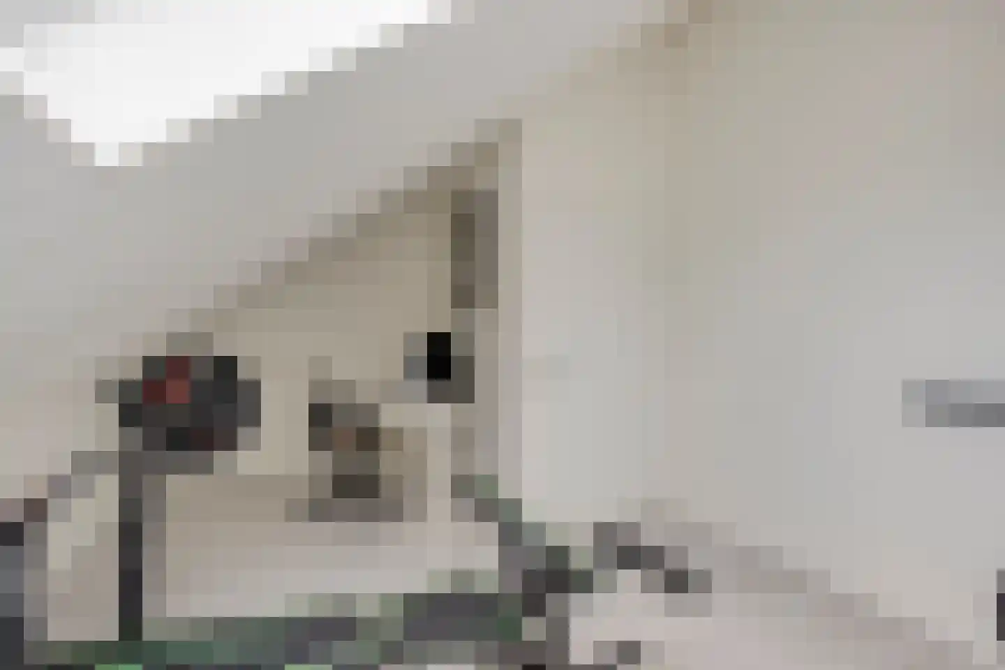 Fonteinkruid 38 Meppel thumbnail 30