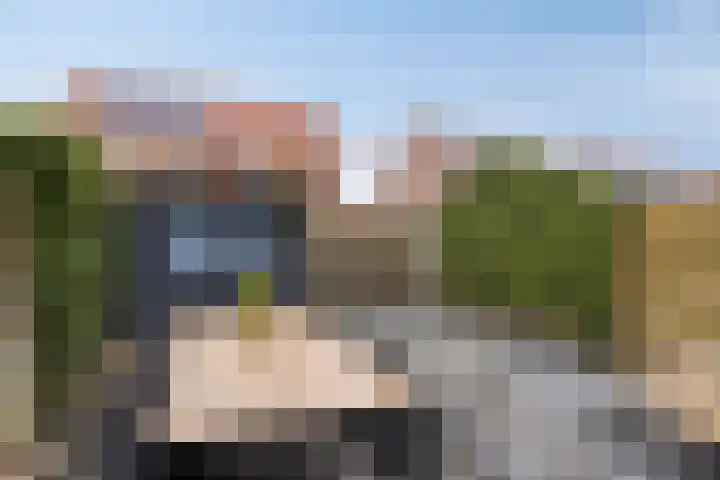 Fonteinkruid 38 Meppel thumbnail 31