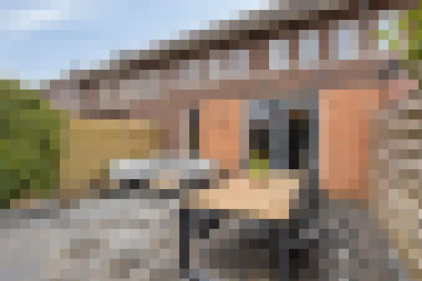 Fonteinkruid 38 Meppel thumbnail 33