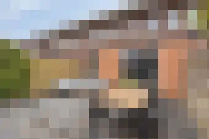 Fonteinkruid 38 Meppel thumbnail 33