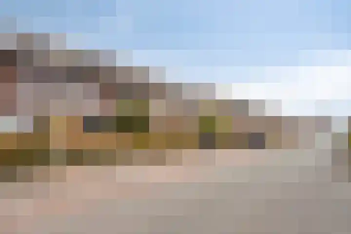 Fonteinkruid 38 Meppel thumbnail 35