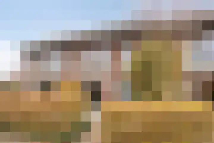 Fonteinkruid 38 Meppel thumbnail 36