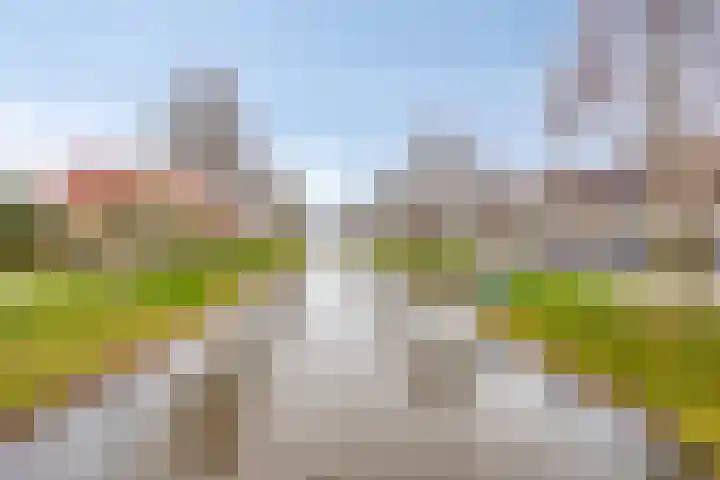 Fonteinkruid 38 Meppel thumbnail 37