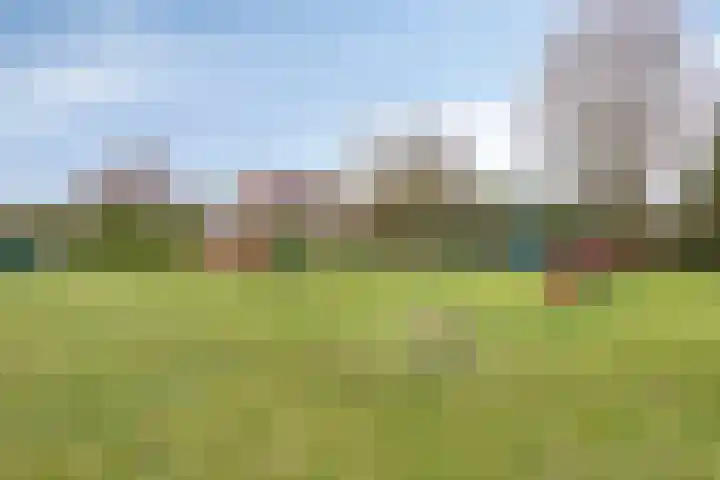 Fonteinkruid 38 Meppel thumbnail 38