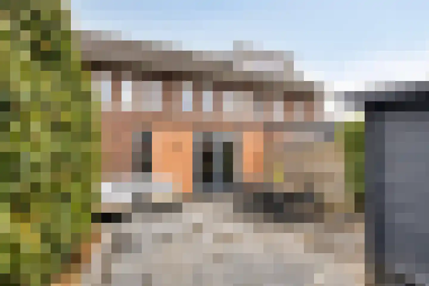 Fonteinkruid 38 Meppel thumbnail 4