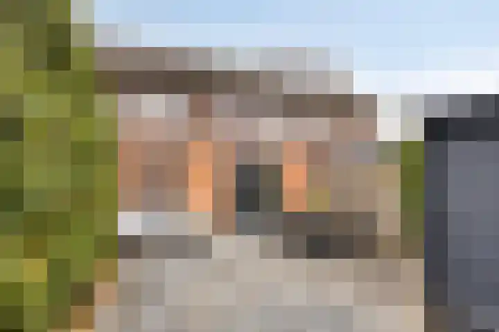 Fonteinkruid 38 Meppel thumbnail 4