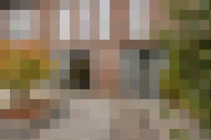 Fonteinkruid 38 Meppel thumbnail 5